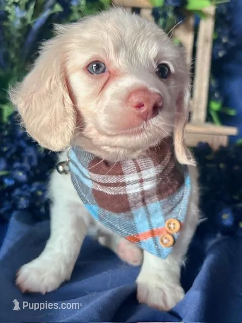 Ghost (On Hold for Nichole)