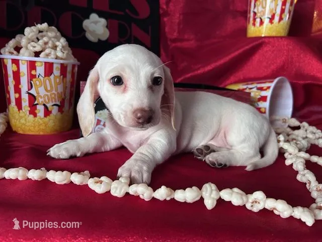 Zero (On Hold for Jim)