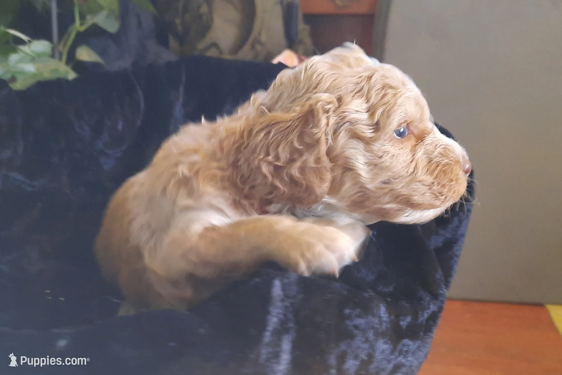 processed/01a96b9c-2b8a-4d06-806d-4f4973e70db7/listing/236289f3-0b63-4d18-a2eb-3d6921a1511a/7073d4ce-2e8c-4341-a2a3-b141695f2bdf