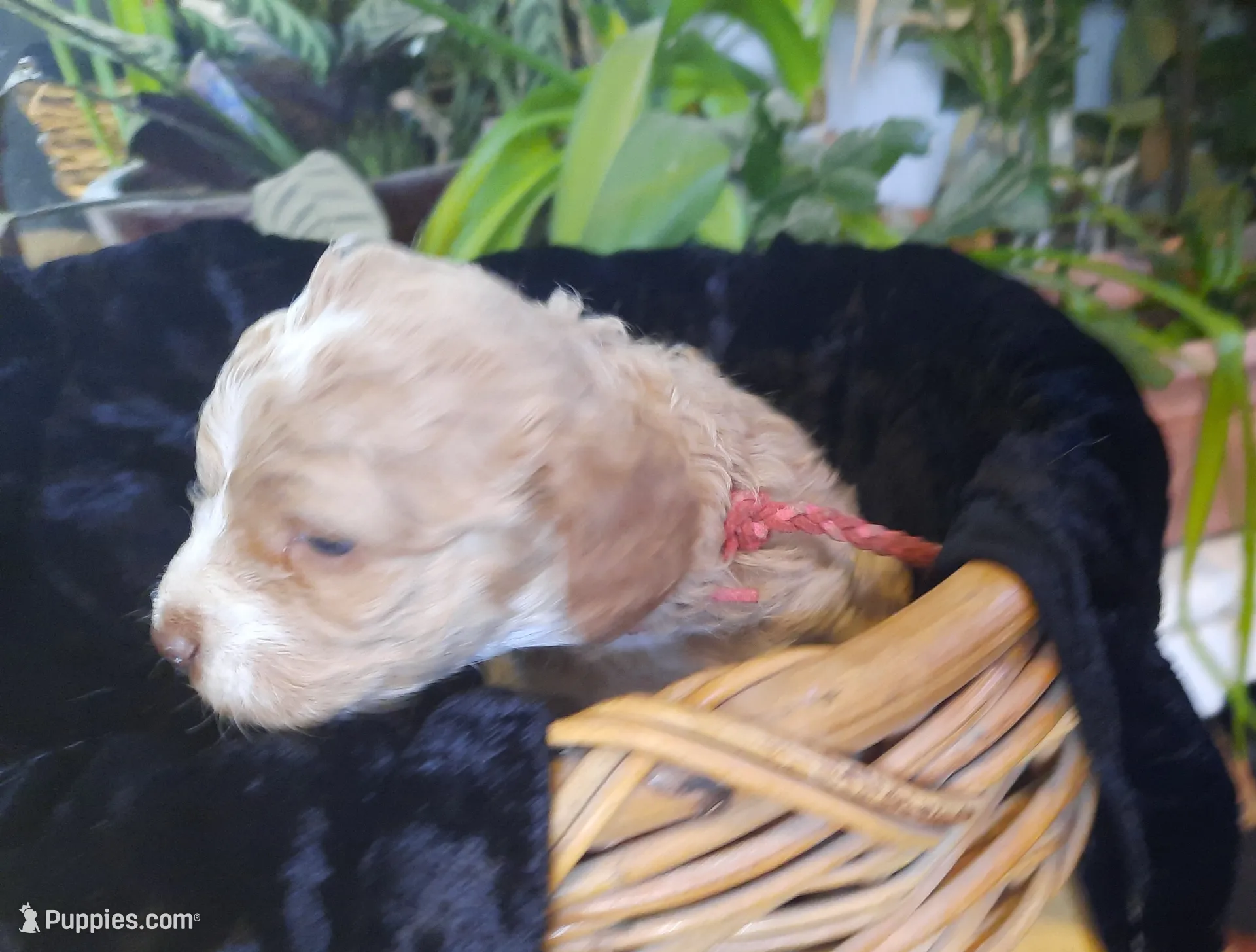 processed/01a96b9c-2b8a-4d06-806d-4f4973e70db7/listing/236289f3-0b63-4d18-a2eb-3d6921a1511a/b2647a74-3b87-4f83-adfe-0d207ae822a5