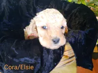 processed/01a96b9c-2b8a-4d06-806d-4f4973e70db7/listing/2a3ae745-de9d-47dd-8a16-14a47540b6fb/0e8a3cf5-2899-42b9-8040-11dea71f716c