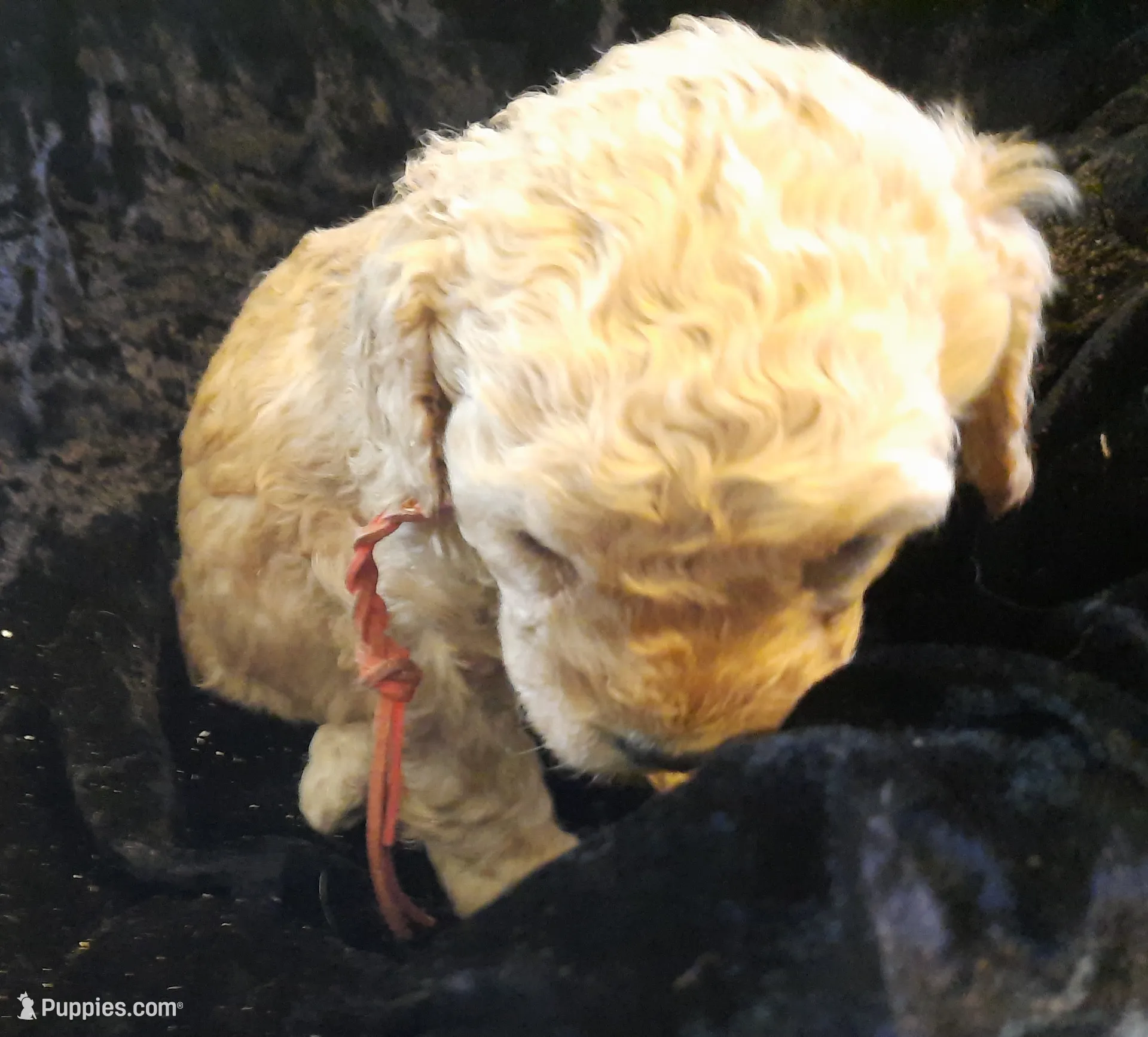 processed/01a96b9c-2b8a-4d06-806d-4f4973e70db7/listing/2a3ae745-de9d-47dd-8a16-14a47540b6fb/0e9d3d56-31dc-4e52-990d-eda34027549e