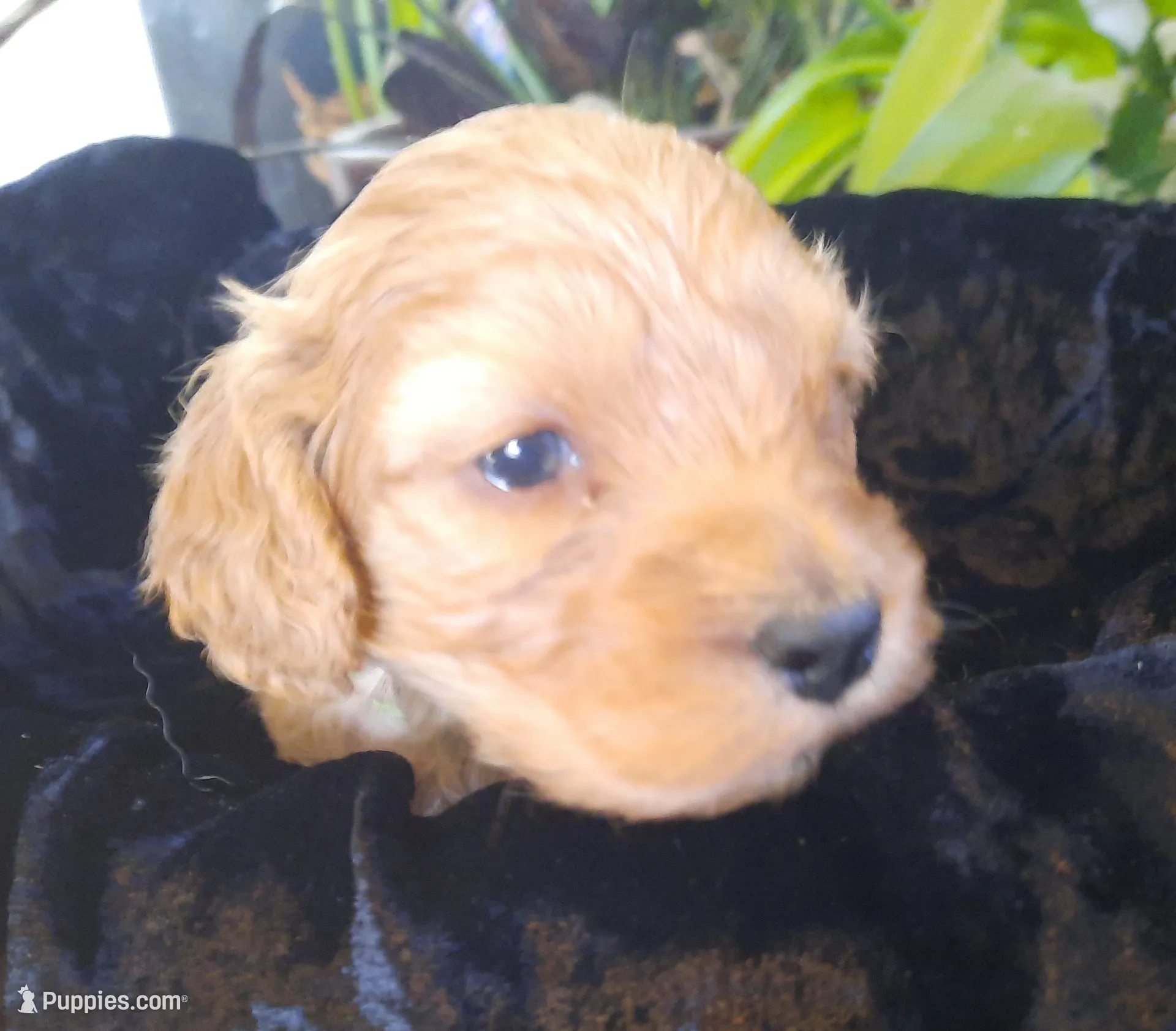 processed/01a96b9c-2b8a-4d06-806d-4f4973e70db7/listing/d6432827-01e8-49c4-b4c1-6e78a6ddc44b/0350d675-c331-4279-b469-c9beb179e67b