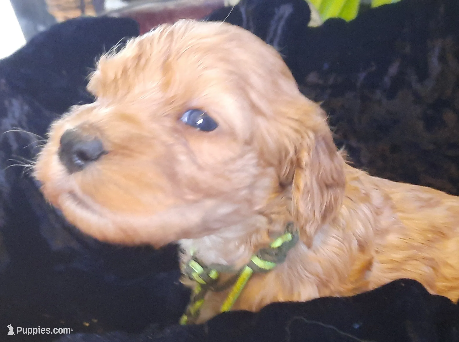 processed/01a96b9c-2b8a-4d06-806d-4f4973e70db7/listing/d6432827-01e8-49c4-b4c1-6e78a6ddc44b/4a049d4b-3d8e-4b17-883d-185d028e9dce