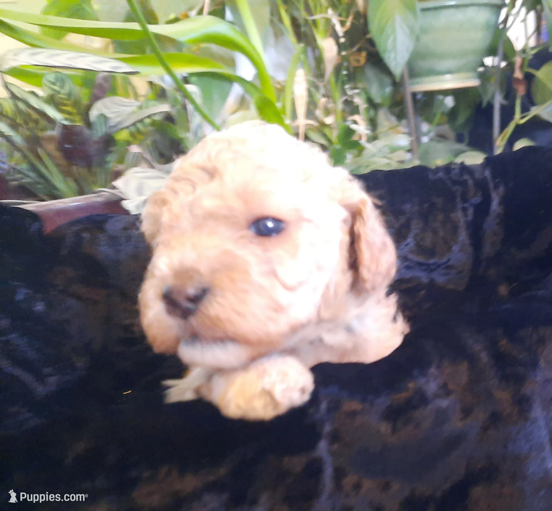 processed/01a96b9c-2b8a-4d06-806d-4f4973e70db7/listing/da875755-756a-428b-94a0-226ea623f61d/ba828217-1649-4b35-bcfd-2afb9a8b6990