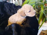 processed/01a96b9c-2b8a-4d06-806d-4f4973e70db7/listing/da875755-756a-428b-94a0-226ea623f61d/e77fa7da-8c93-469c-ad27-7a02bcc53f46