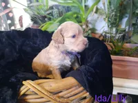 processed/01a96b9c-2b8a-4d06-806d-4f4973e70db7/listing/e5752db4-fcbc-42a3-96ff-4bdd47cb17dc/c38c0c61-d79a-45b8-82e7-d414543c1023