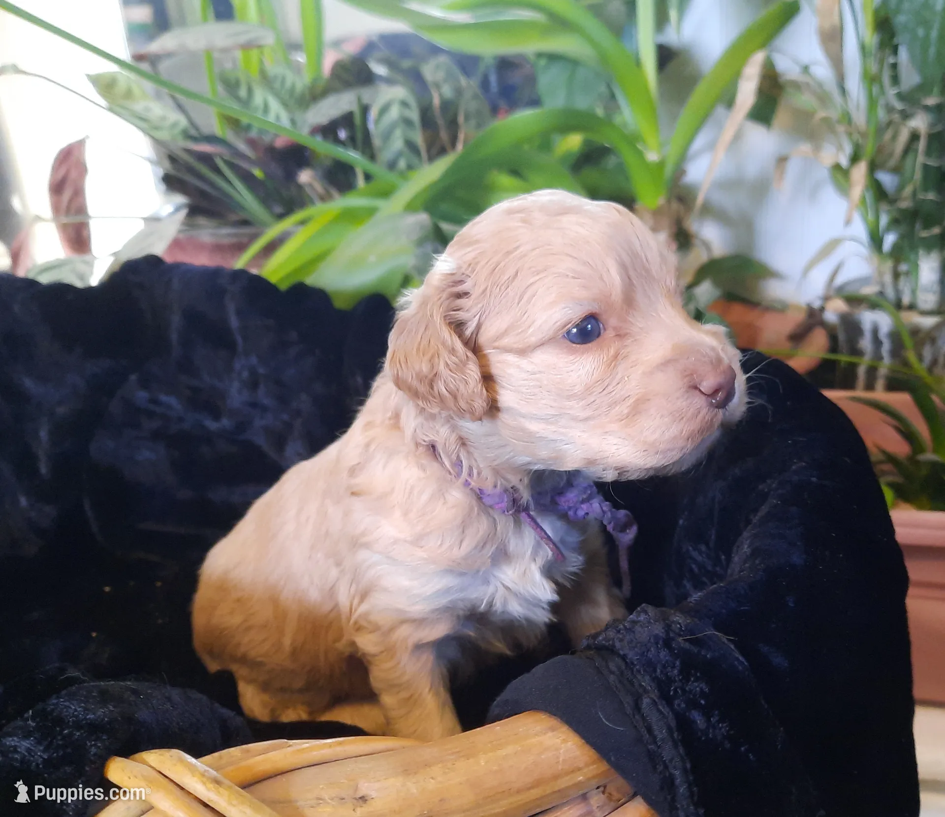 processed/01a96b9c-2b8a-4d06-806d-4f4973e70db7/listing/e5752db4-fcbc-42a3-96ff-4bdd47cb17dc/d83bfe30-ae4d-4143-9e0c-cbc2ef9708ae