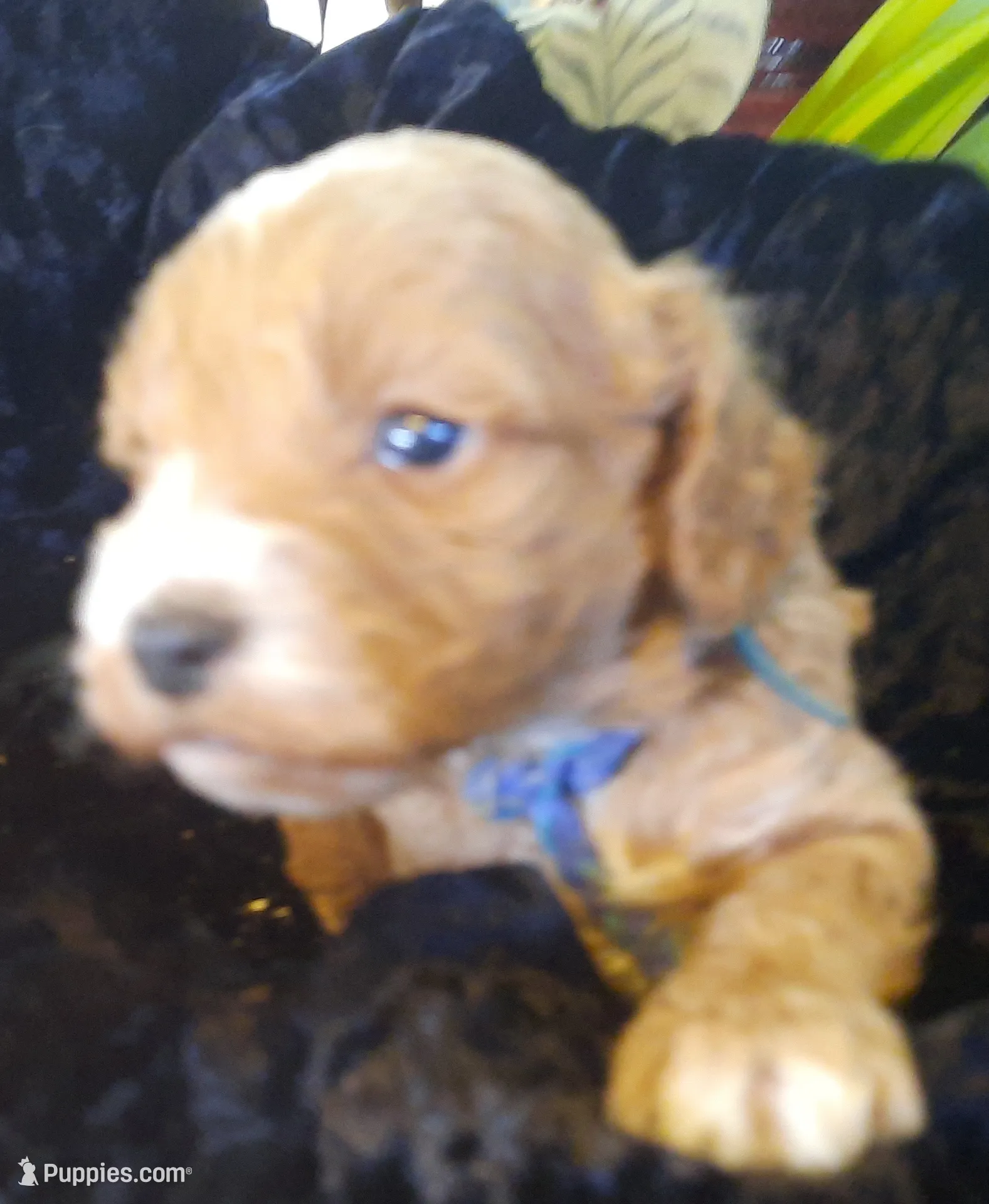 processed/01a96b9c-2b8a-4d06-806d-4f4973e70db7/listing/f591edfc-c5f0-4f7d-8f6e-6bde3736aacf/5b6fb0c8-96d0-4264-a2b2-cbcbfda93d77