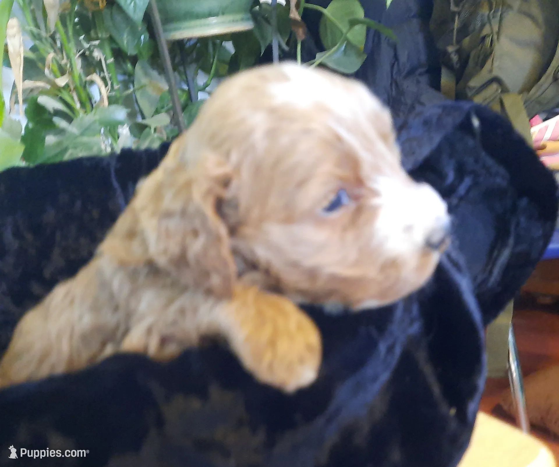 processed/01a96b9c-2b8a-4d06-806d-4f4973e70db7/listing/f591edfc-c5f0-4f7d-8f6e-6bde3736aacf/a9e939f1-f118-48ba-8693-7895fa35f589