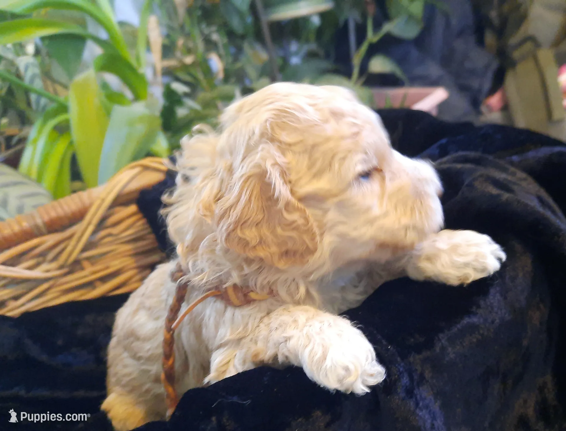 processed/01a96b9c-2b8a-4d06-806d-4f4973e70db7/listing/fbdd2d65-11de-4e36-995a-8ac7baf4a30f/09e65713-a33a-4c95-8dea-f7f9b781ac75