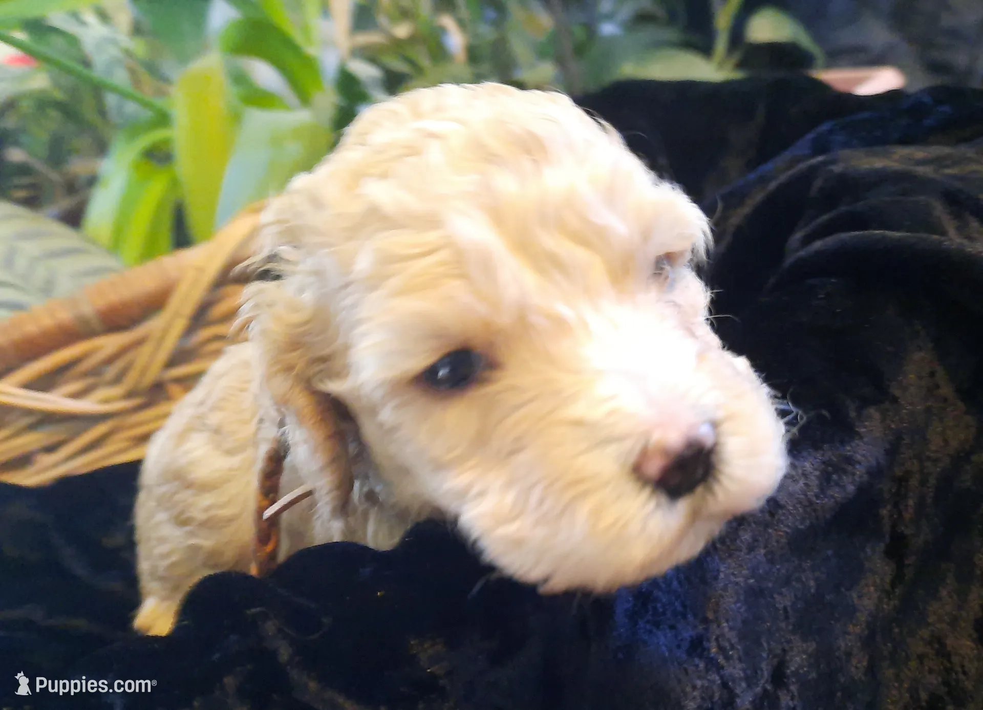 processed/01a96b9c-2b8a-4d06-806d-4f4973e70db7/listing/fbdd2d65-11de-4e36-995a-8ac7baf4a30f/b8e3a7a0-fe62-476b-b25d-27eefdb2d5bd