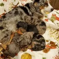 processed/01b2fa3d-2813-471a-ba42-1ecef948ba62/facility/199cc95b-289b-4e6d-8d5b-fe4b9c12ce7e