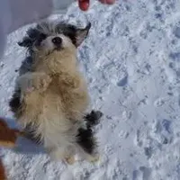 processed/01b2fa3d-2813-471a-ba42-1ecef948ba62/facility/38aa2237-0acf-488b-9a0d-e92aafb34dd1