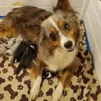 processed/01b2fa3d-2813-471a-ba42-1ecef948ba62/facility/4c5cda20-de3b-434f-9e31-439d5234f419