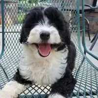 processed/01b2fa3d-2813-471a-ba42-1ecef948ba62/facility/8ae58cf7-542f-423c-ab1a-9c96f14aa787