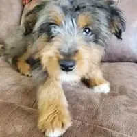 processed/01b2fa3d-2813-471a-ba42-1ecef948ba62/facility/8b3d7c6f-53e4-4e05-a1e7-8a1b35c54146