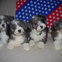 processed/01b2fa3d-2813-471a-ba42-1ecef948ba62/facility/c21d6471-4674-4579-bc33-2021a54e1f4f