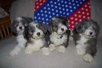 processed/01b2fa3d-2813-471a-ba42-1ecef948ba62/facility/c21d6471-4674-4579-bc33-2021a54e1f4f