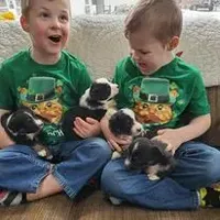 processed/01b2fa3d-2813-471a-ba42-1ecef948ba62/facility/c39ad7f0-83b1-4f97-9fb2-ce9c1a9dba2d