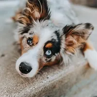 processed/01b2fa3d-2813-471a-ba42-1ecef948ba62/facility/c45a7f67-82c7-440d-a580-9d0d3f4d0899