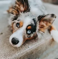 processed/01b2fa3d-2813-471a-ba42-1ecef948ba62/facility/c45a7f67-82c7-440d-a580-9d0d3f4d0899