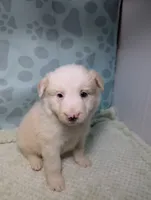 processed/01b2fa3d-2813-471a-ba42-1ecef948ba62/listing/111b4567-e60a-492c-b616-c653a8ce4a51/1c41ca55-7a93-403f-96e3-225a2635e462