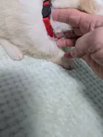 processed/01b2fa3d-2813-471a-ba42-1ecef948ba62/listing/111b4567-e60a-492c-b616-c653a8ce4a51/3699e40f-2050-435c-ae46-0f4b0e015900