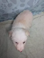 processed/01b2fa3d-2813-471a-ba42-1ecef948ba62/listing/111b4567-e60a-492c-b616-c653a8ce4a51/3924bde0-405d-44bf-85e8-c652e307cd40