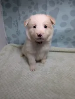 processed/01b2fa3d-2813-471a-ba42-1ecef948ba62/listing/111b4567-e60a-492c-b616-c653a8ce4a51/7af8ed79-71b7-4768-a6ea-819e2ec7744a