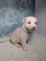 processed/01b2fa3d-2813-471a-ba42-1ecef948ba62/listing/111b4567-e60a-492c-b616-c653a8ce4a51/aba89cb4-9ded-4c84-b3e5-b1b9ca5f8a0a