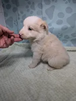 processed/01b2fa3d-2813-471a-ba42-1ecef948ba62/listing/111b4567-e60a-492c-b616-c653a8ce4a51/d01f99c7-a60f-492b-bf32-18f00466b8b0