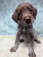 processed/01b2fa3d-2813-471a-ba42-1ecef948ba62/listing/45fc2052-5139-44e1-907c-8c86486048cb/06d1c2a2-0489-4f78-9c12-496466dbbf74