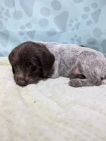 processed/01b2fa3d-2813-471a-ba42-1ecef948ba62/listing/45fc2052-5139-44e1-907c-8c86486048cb/4c732eb6-f67b-4b72-8edf-a1b7ad28af67