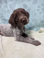 processed/01b2fa3d-2813-471a-ba42-1ecef948ba62/listing/45fc2052-5139-44e1-907c-8c86486048cb/56a50970-bb0d-4b4d-b7ef-edb0251dbb58