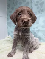 processed/01b2fa3d-2813-471a-ba42-1ecef948ba62/listing/45fc2052-5139-44e1-907c-8c86486048cb/9258be45-c653-42dc-96bd-d03129dbf5c2