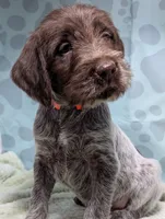 processed/01b2fa3d-2813-471a-ba42-1ecef948ba62/listing/45fc2052-5139-44e1-907c-8c86486048cb/9b578ed0-3b6e-4eb5-81a4-37ccf47c5546