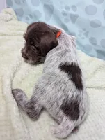 processed/01b2fa3d-2813-471a-ba42-1ecef948ba62/listing/45fc2052-5139-44e1-907c-8c86486048cb/a221af8c-b045-4e66-9740-73423de5669d