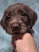 processed/01b2fa3d-2813-471a-ba42-1ecef948ba62/listing/45fc2052-5139-44e1-907c-8c86486048cb/cfdefd8b-13f4-47a8-b137-138483828e6d