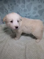 processed/01b2fa3d-2813-471a-ba42-1ecef948ba62/listing/a2cf496b-9fe0-4be3-85c9-4a01bdb04583/5c52f011-cf25-4235-bf73-8c3d743a7d1a