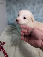 processed/01b2fa3d-2813-471a-ba42-1ecef948ba62/listing/a2cf496b-9fe0-4be3-85c9-4a01bdb04583/62a72d6b-11d6-4ac7-8c25-4d0dac75ce16