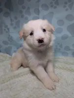 processed/01b2fa3d-2813-471a-ba42-1ecef948ba62/listing/a2cf496b-9fe0-4be3-85c9-4a01bdb04583/90bd209a-f83c-457a-a7a4-b4cdebf804ba