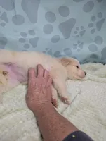 processed/01b2fa3d-2813-471a-ba42-1ecef948ba62/listing/a2cf496b-9fe0-4be3-85c9-4a01bdb04583/981542d6-e4bc-48ce-9eeb-f03bc63827e6