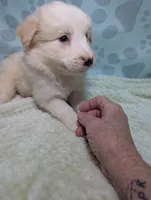 processed/01b2fa3d-2813-471a-ba42-1ecef948ba62/listing/a2cf496b-9fe0-4be3-85c9-4a01bdb04583/a915a557-9c96-47b9-adb4-9122704fcb1d