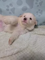 processed/01b2fa3d-2813-471a-ba42-1ecef948ba62/listing/a2cf496b-9fe0-4be3-85c9-4a01bdb04583/b093919b-fa7a-4e03-8e60-ff7873feb40b