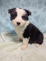 processed/01b2fa3d-2813-471a-ba42-1ecef948ba62/listing/a9cb3990-0d01-4320-b450-15363fc146a4/0faf48e6-8de3-4fe6-8405-53e99bbb65ba