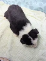 processed/01b2fa3d-2813-471a-ba42-1ecef948ba62/listing/a9cb3990-0d01-4320-b450-15363fc146a4/5337f964-0473-4151-b77f-d3e751320bb8