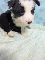 processed/01b2fa3d-2813-471a-ba42-1ecef948ba62/listing/a9cb3990-0d01-4320-b450-15363fc146a4/f5d1c292-599b-4a66-8824-07b0c5ab4d62