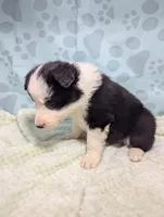 processed/01b2fa3d-2813-471a-ba42-1ecef948ba62/listing/a9cb3990-0d01-4320-b450-15363fc146a4/f8f4a9f8-d91b-4089-a7d5-7647fae1df30