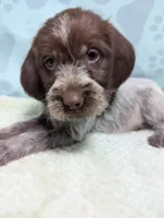 processed/01b2fa3d-2813-471a-ba42-1ecef948ba62/listing/c676b7d3-8409-44ab-b6aa-d35a75fd6e29/89d8958e-8a03-4f30-a664-a14a8ee40e80